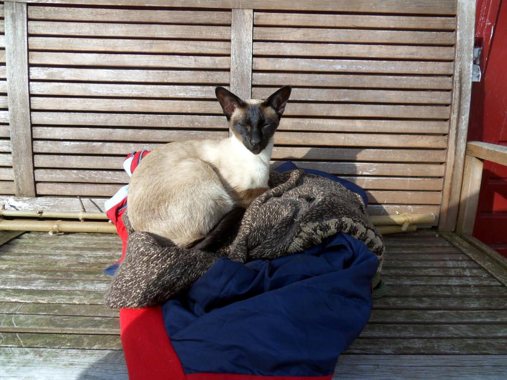 Image garden/Tuin-2013-03-06.011.jpg